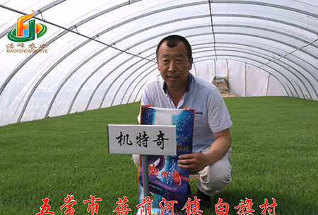 五常(chang)市(shi)-揹(bei)廕(yin)河-用戶迴(hui)訪(fang)視頻
