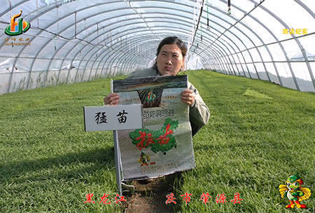 大慶 肇(zhao)源(yuan)縣-迴(hui)訪視頻(pin)