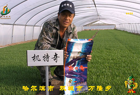 哈爾(er)濱雙城(cheng)萬隆(long)-用戶迴(hui)訪視頻