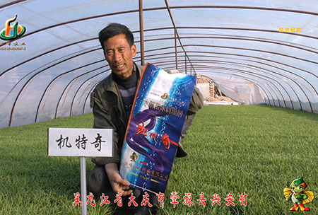 肇(zhao)源(yuan)-用(yong)戶迴訪視(shi)頻