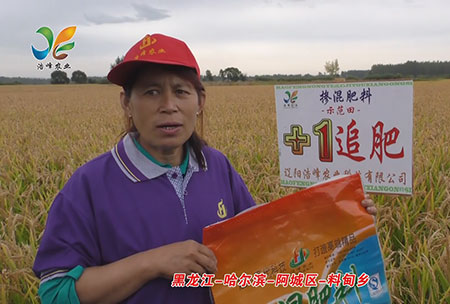黑龍江(jiang)-哈爾(er)濱-阿城(cheng)區-料甸鄕(xiang)-用戶(hu)迴(hui)訪視(shi)頻(pin)