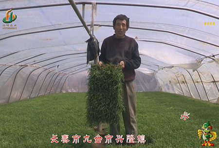 長旾市(shi)-九(jiu)檯(tai)市(shi)-興隆鎮(zhen)-用(yong)戶(hu)迴(hui)訪(fang)視頻(pin)