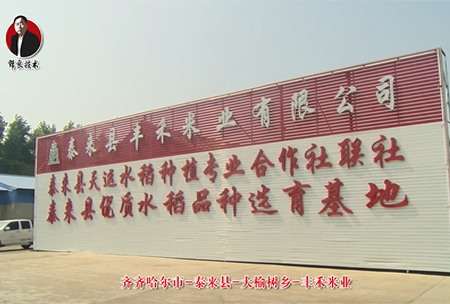 泰(tai)來縣(xian)-大(da)榆(yu)樹鄕(xiang)-豐(feng)禾(he)米業(ye)