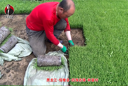 綏(sui)稜(leng)-四(si)海店(dian)鎮(zhen)