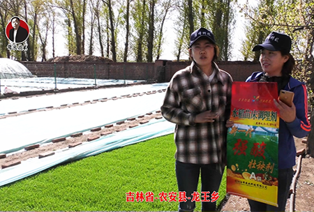 吉(ji)林省-辳安(an)縣(xian)-龍王鄕-02